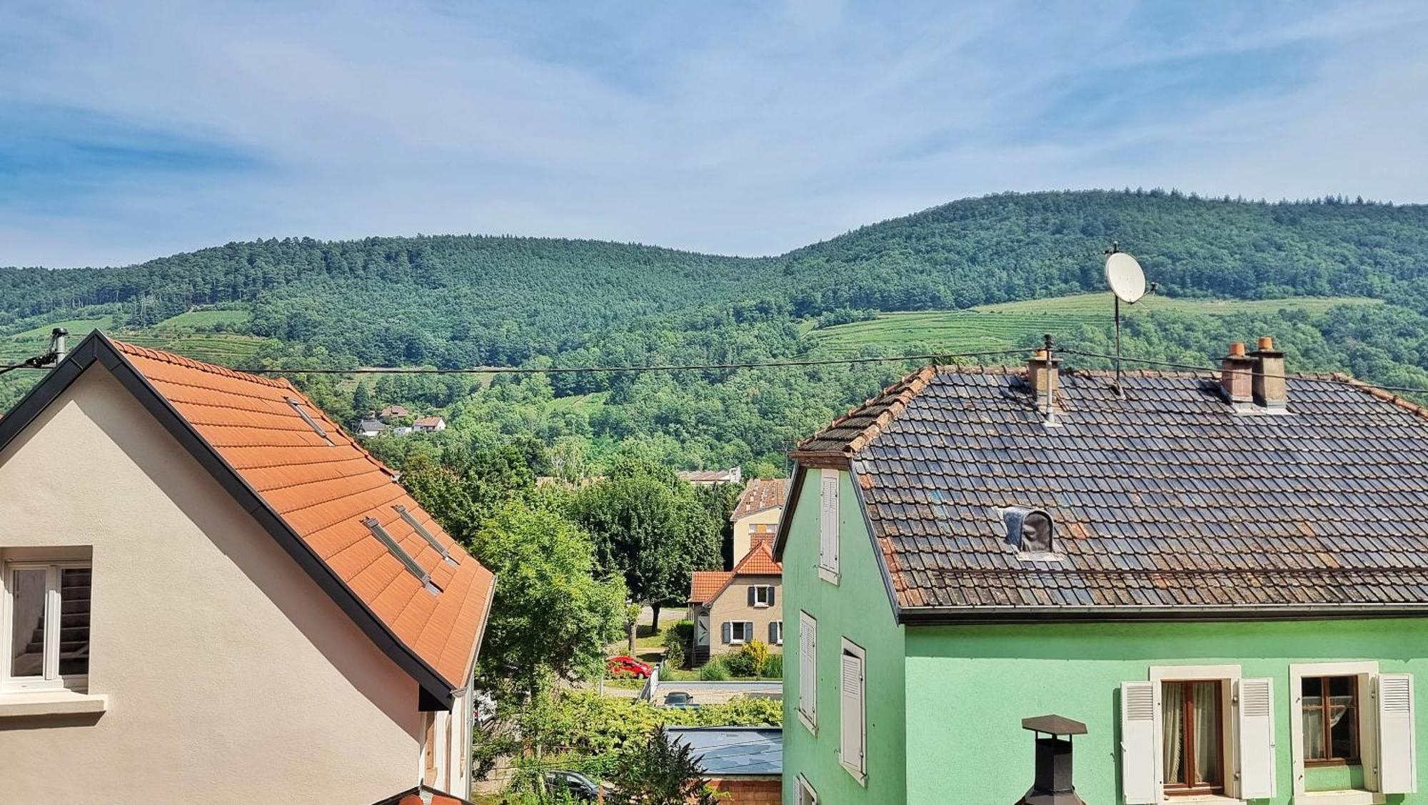 La Buhl Verte - Chic Et Moderne - Calme - Fibre - Relax Bnb Εξωτερικό φωτογραφία