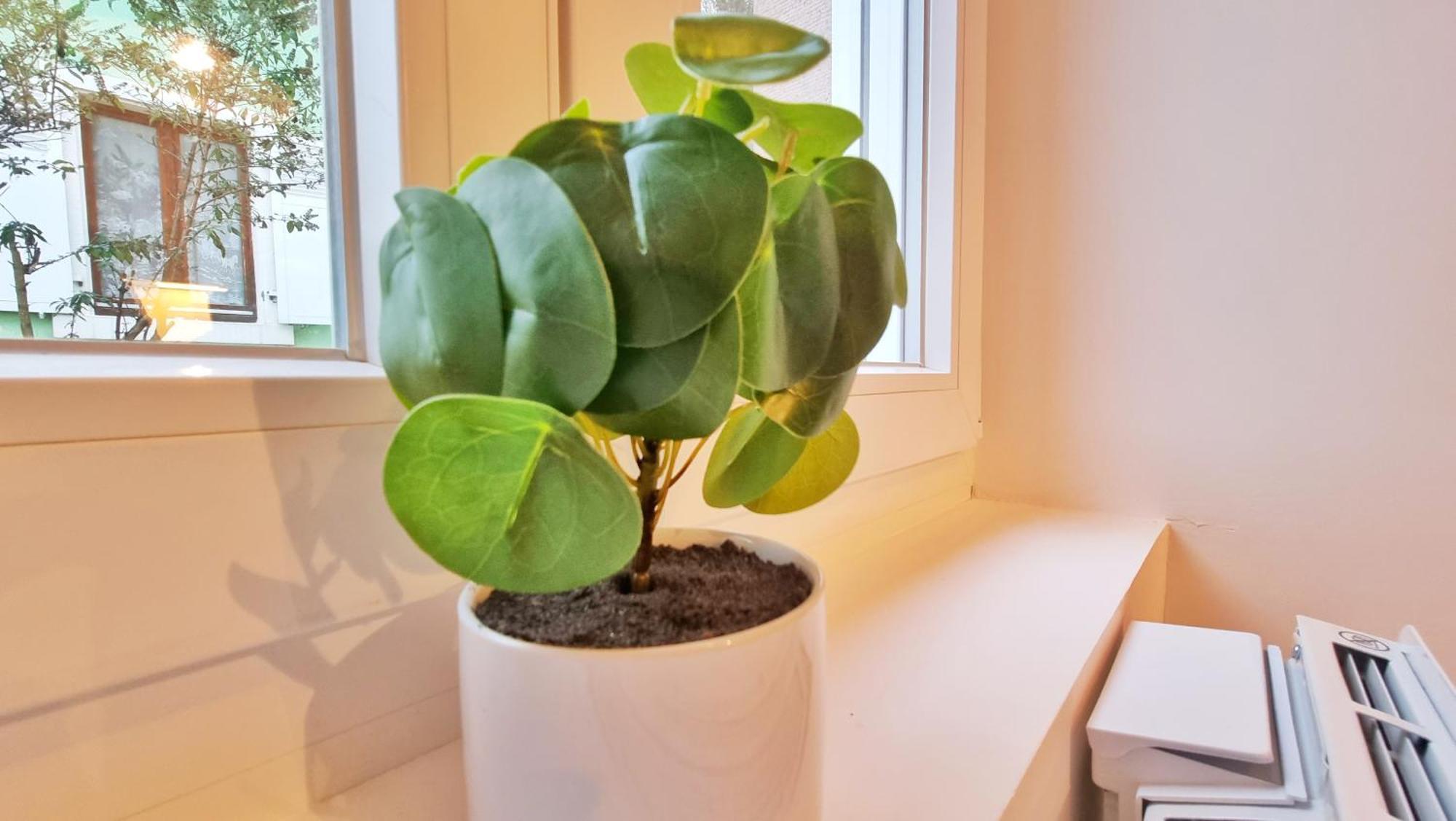La Buhl Verte - Chic Et Moderne - Calme - Fibre - Relax Bnb Εξωτερικό φωτογραφία